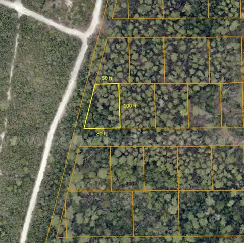 +/- 6500 sq. ft. undeveloped lot near Lake Beresford, Volusia County, FL - Central Florida Land - No Reserve