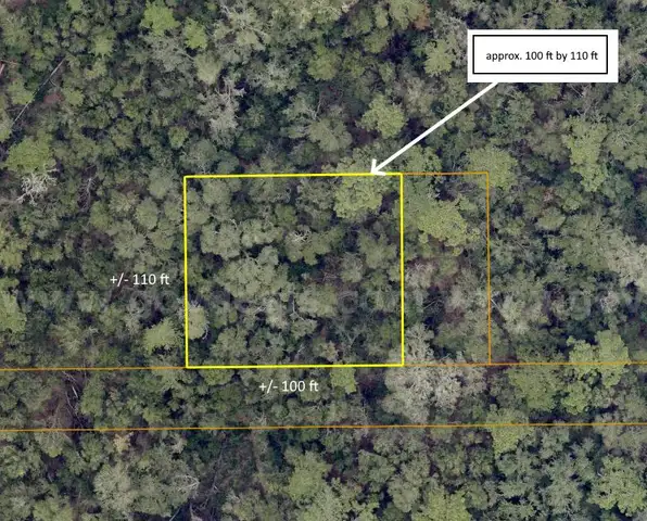 +/- 11000 sq. ft. undeveloped lot near Lake Beresford, Volusia County, FL - Central Florida Land - No Reserve