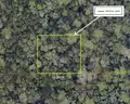+/- 11000 sq. ft. undeveloped lot near Lake Beresford, Volusia County, FL - Central Florida Land - No Reserve
