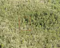 1.25 Acres near Near I-4 and Deland, FL - Central Florida Land, Volusia County, No Reserve