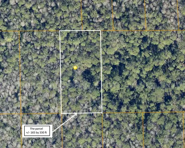 1.25 Acres near Near I-4 and Deland, FL - Central Florida Land, Volusia County, No Reserve