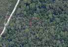 7500 sq. ft. undeveloped lot near Lake Beresford, Volusia County, FL - Central Florida Land - No Reserve