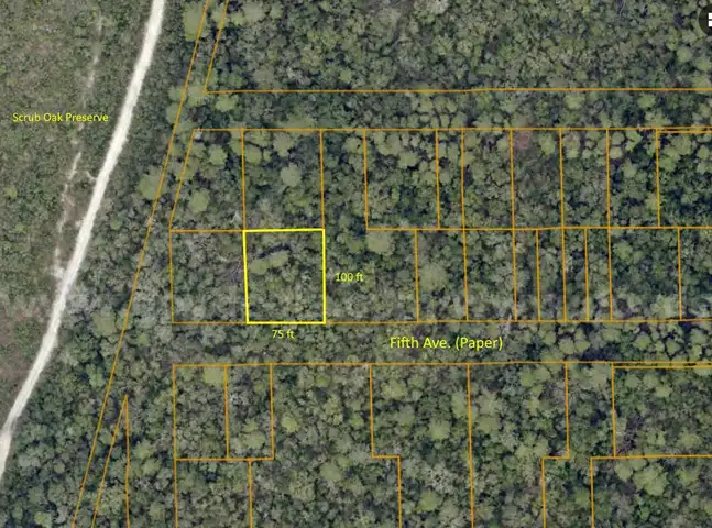 7500 sq. ft. undeveloped lot near Lake Beresford, Volusia County, FL - Central Florida Land - No Reserve