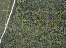 7500 sq. ft. undeveloped lot near Lake Beresford, Volusia County, FL - Central Florida Land - No Reserve