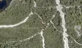 0.27 +/- acre undeveloped parcel near Park Lake, DeLand, FL  - No Reserve