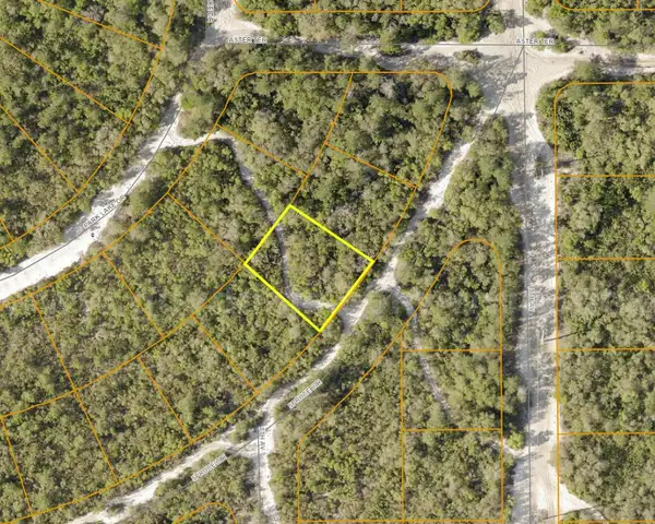 0.27 +/- acre undeveloped parcel near Park Lake, DeLand, FL  - No Reserve