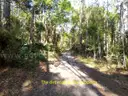 1.25 Acres near Lake Helen, Volusia County, FL - Central Florida Land, No Reserve