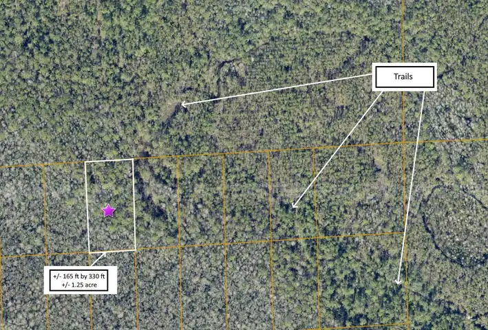 1.25 Acres near Lake Helen, Volusia County, FL - Central Florida Land, No Reserve