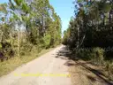 1.25 Acres near Lake Helen, Volusia County, FL - Central Florida Land, No Reserve