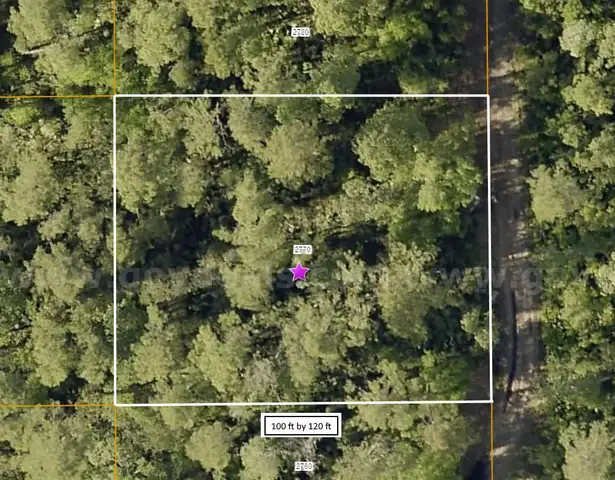 0.27 +/- acre undeveloped parcel near Park Lake, DeLand, FL  - No Reserve