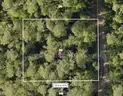 0.27 +/- acre undeveloped parcel near Park Lake, DeLand, FL  - No Reserve
