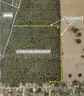 +/- 5000 sq ft. - acre undeveloped lot in a platted subdivision near Orange City / DeLand, FL