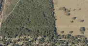 +/- 5000 sq ft. - acre undeveloped lot in a platted subdivision near Orange City / DeLand, FL