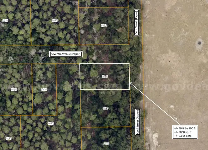 +/- 5000 sq ft. - acre undeveloped lot in a platted subdivision near Orange City / DeLand, FL