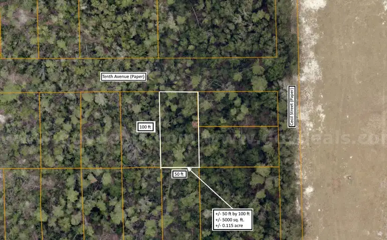 5000 sq. ft. undeveloped lot near Lake Beresford, Volusia County, FL - Central Florida Land - No Reserve
