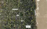 5000 sq. ft. undeveloped lot near Lake Beresford, Volusia County, FL - Central Florida Land - No Reserve