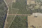5000 sq. ft. undeveloped lot near Lake Beresford, Volusia County, FL - Central Florida Land - No Reserve