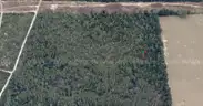 5000 sq. ft. undeveloped lot near Lake Beresford, Volusia County, FL - Central Florida Land - No Reserve
