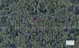 5000 sq. ft. undeveloped lot near Lake Beresford, Volusia County, FL - Central Florida Land - No Reserve