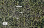 5000 sq. ft. undeveloped lot near Lake Beresford, Volusia County, FL - Central Florida Land - No Reserve