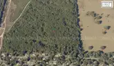 5000 sq. ft. undeveloped lot near Lake Beresford, Volusia County, FL - Central Florida Land - No Reserve