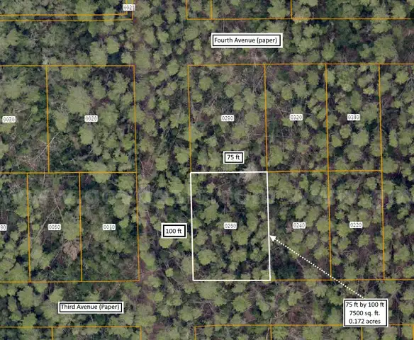 7500 sq. ft. undeveloped lot near Lake Beresford, Volusia County, FL - Central Florida Land - No Reserve