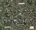 7500 sq. ft. undeveloped lot near Lake Beresford, Volusia County, FL - Central Florida Land - No Reserve