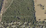 7500 sq. ft. undeveloped lot near Lake Beresford, Volusia County, FL - Central Florida Land - No Reserve