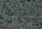7500 sq. ft. undeveloped lot near Lake Beresford, Volusia County, FL - Central Florida Land - No Reserve