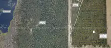 7500 sq. ft. undeveloped lot near Lake Beresford, Volusia County, FL - Central Florida Land - No Reserve