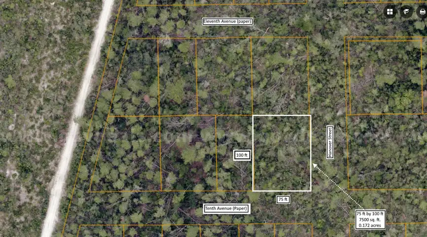 7500 sq. ft. undeveloped lot near Lake Beresford, Volusia County, FL - Central Florida Land - No Reserve