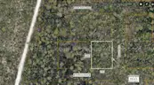 7500 sq. ft. undeveloped lot near Lake Beresford, Volusia County, FL - Central Florida Land - No Reserve