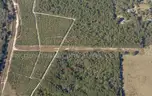 7500 sq. ft. undeveloped lot near Lake Beresford, Volusia County, FL - Central Florida Land - No Reserve