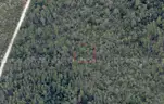 7500 sq. ft. undeveloped lot near Lake Beresford, Volusia County, FL - Central Florida Land - No Reserve