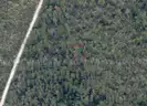 5000 sq. ft. undeveloped lot near Lake Beresford, Volusia County, FL - Central Florida Land - No Reserve