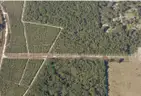 5000 sq. ft. undeveloped lot near Lake Beresford, Volusia County, FL - Central Florida Land - No Reserve