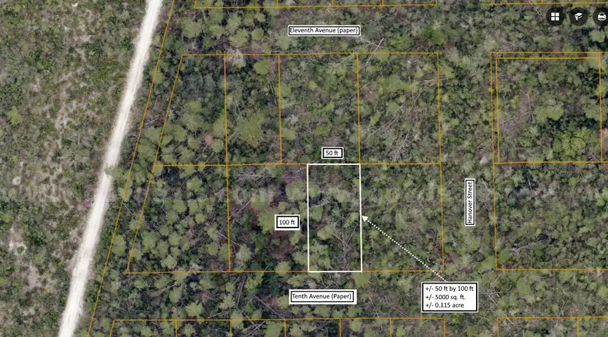 5000 sq. ft. undeveloped lot near Lake Beresford, Volusia County, FL - Central Florida Land - No Reserve