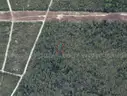 5000 sq. ft. undeveloped lot near Lake Beresford, Volusia County, FL - Central Florida Land - No Reserve