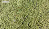 1.25 Acres near Near I-4 and Deland, FL - Central Florida Land, Volusia County, No Reserve