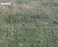 1.25 Acres near Near I-4 and Deland, FL - Central Florida Land, Volusia County, No Reserve