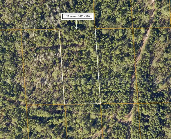 1.25 Acres near Near I-4 and Deland, FL - Central Florida Land, Volusia County, No Reserve