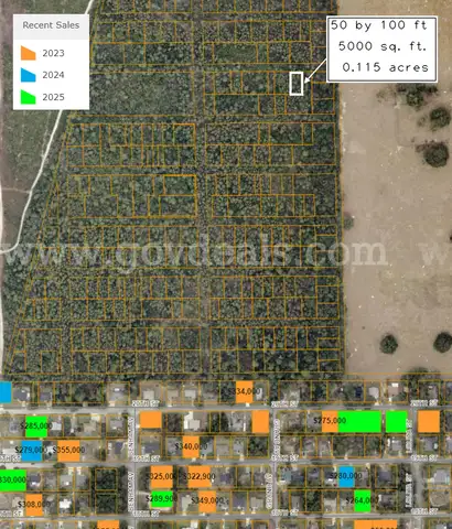 5000 sq. ft. undeveloped lot near Lake Beresford, Volusia County, FL - Central Florida Land - No Reserve