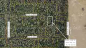 5000 sq. ft. undeveloped lot near Lake Beresford, Volusia County, FL - Central Florida Land - No Reserve