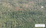 1.25 Acres near Near I-4 and Deland, FL - Central Florida Land, Volusia County, No Reserve