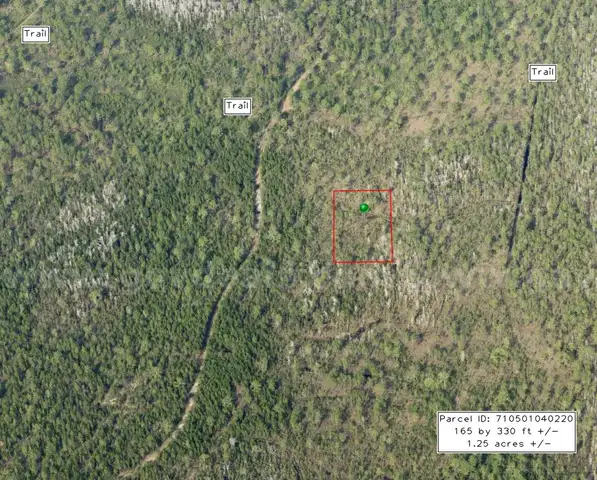 1.25 Acres near Near I-4 and Deland, FL - Central Florida Land, Volusia County, No Reserve