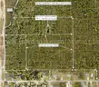 2 out of 3 contiguous undeveloped parcels (Middle) - 5000 sq. ft.  near Lake Beresford, DeLand FL