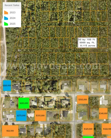 2 out of 3 contiguous undeveloped parcels (Middle) - 5000 sq. ft.  near Lake Beresford, DeLand FL