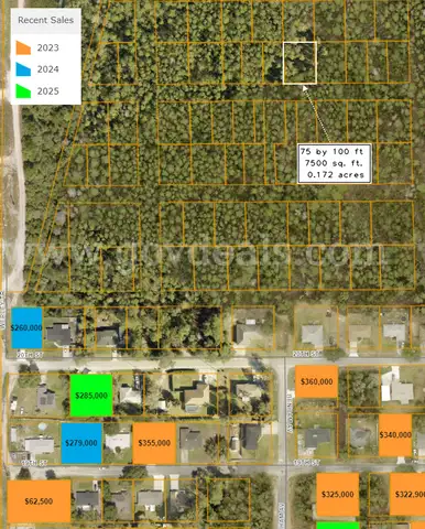 3 out of 3 contiguous undeveloped parcels (East) - 7500 sq. ft.  near Lake Beresford, DeLand FL