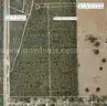 5000 sq. ft. undeveloped lot near Lake Beresford, Volusia County, FL - Central Florida Land - No Reserve