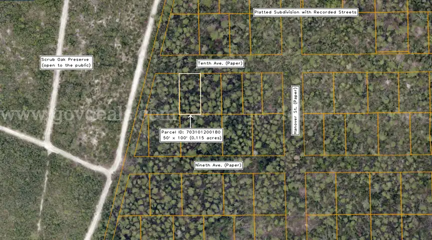 5000 sq. ft. undeveloped lot near Lake Beresford, Volusia County, FL - Central Florida Land - No Reserve